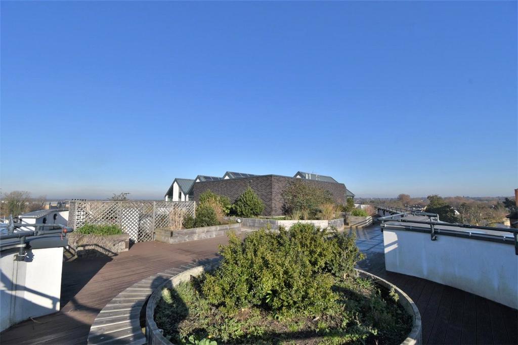 Communal Roof Garden