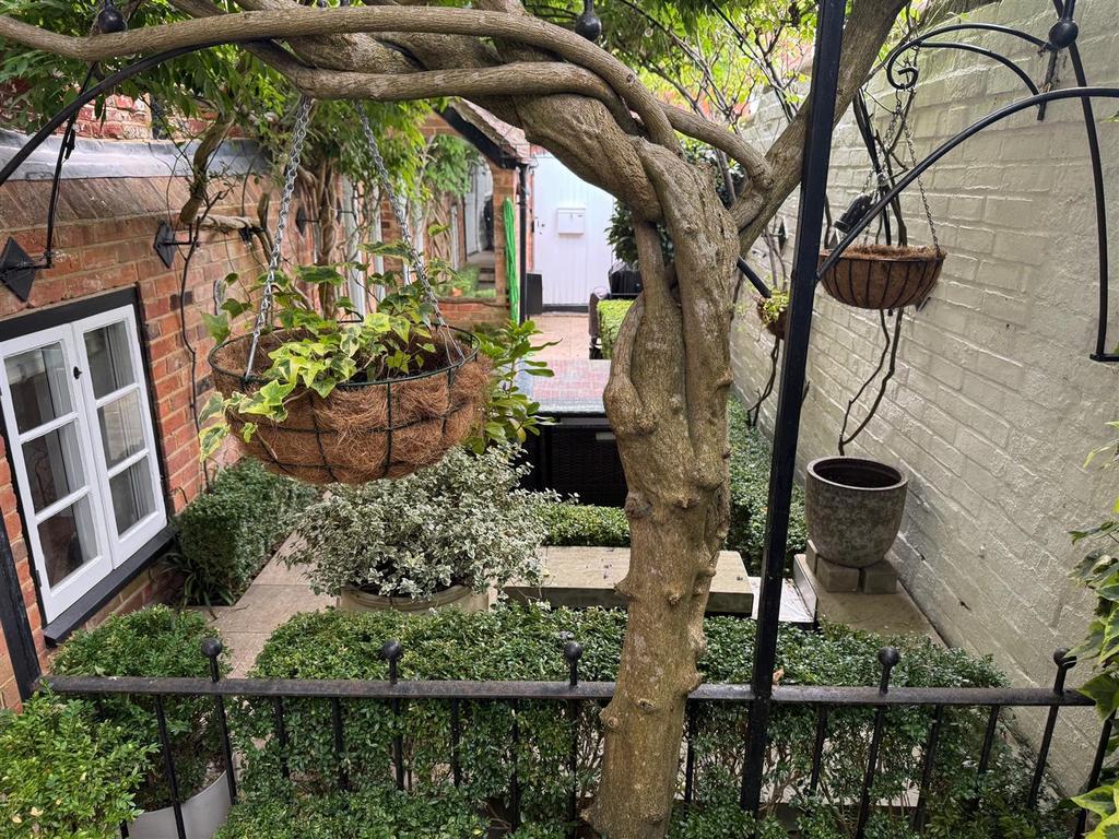 Garden summer 2.jpg