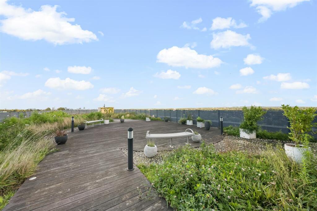 Roof Terrace