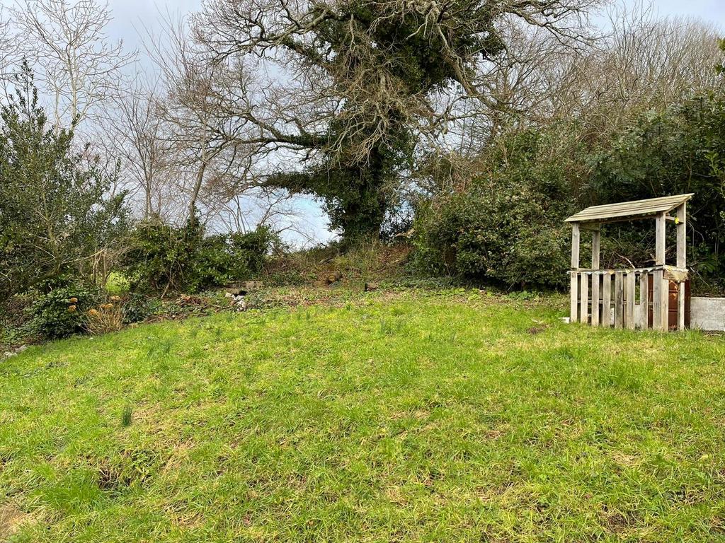 Back Garden