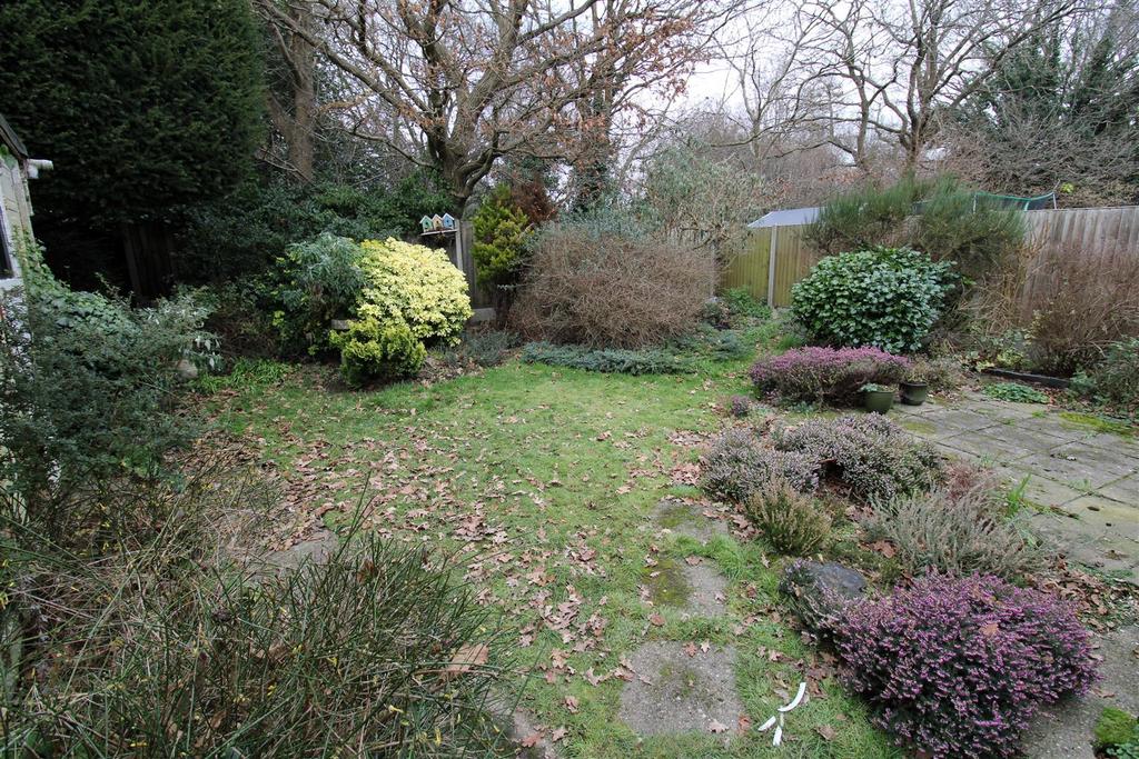 Garden2.JPG