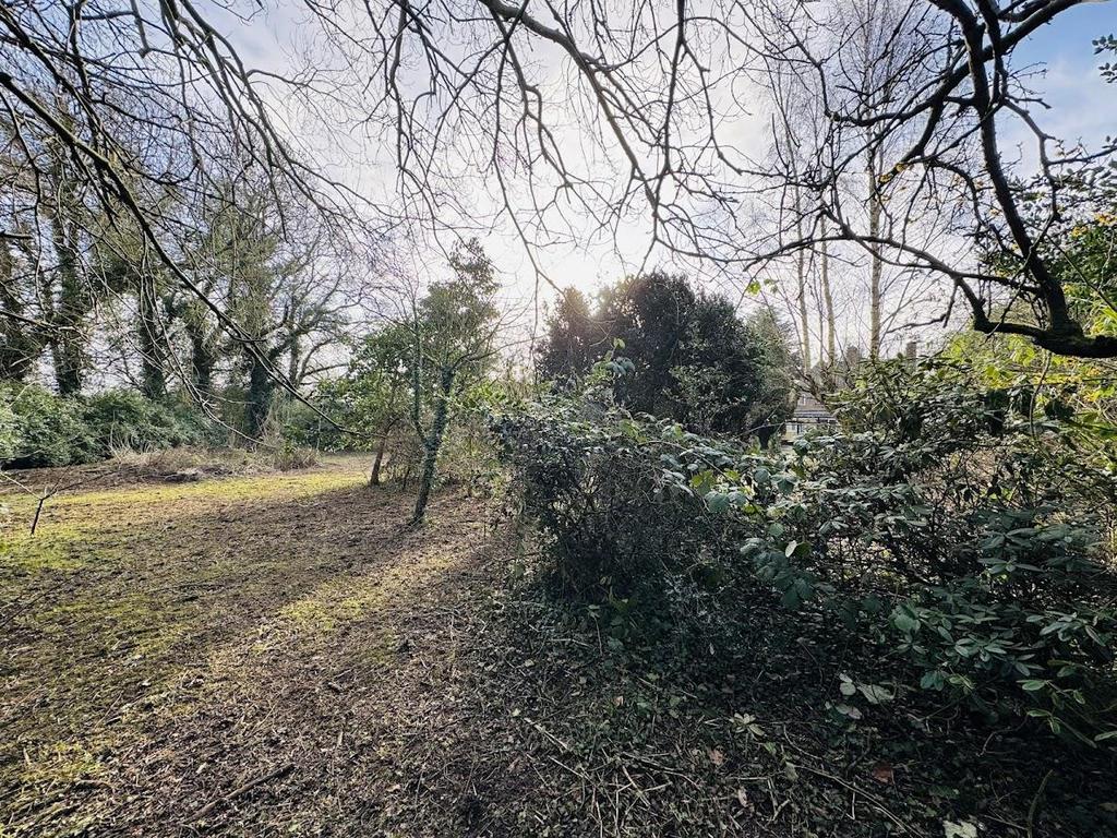 IMG 4325.jpg