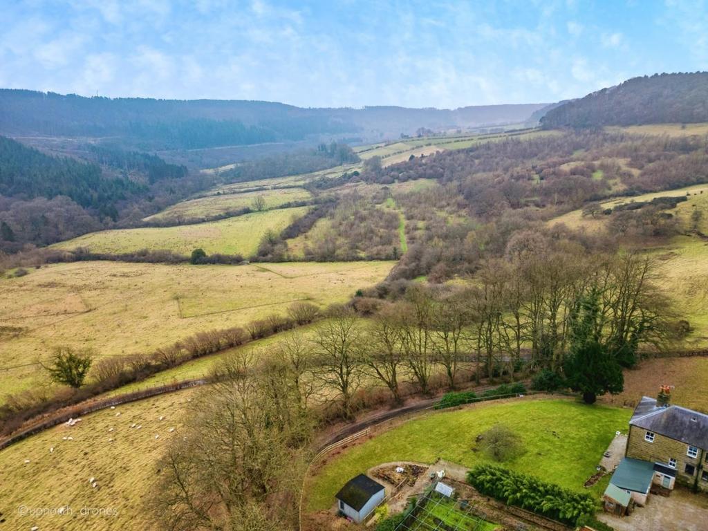 5a137e96-DJI 0809.jpg