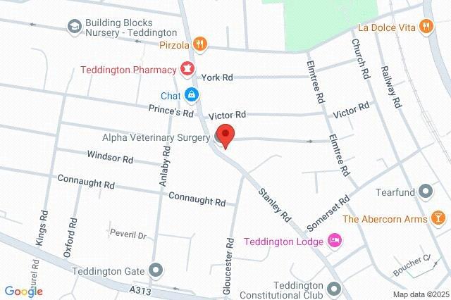 Google Maps Image