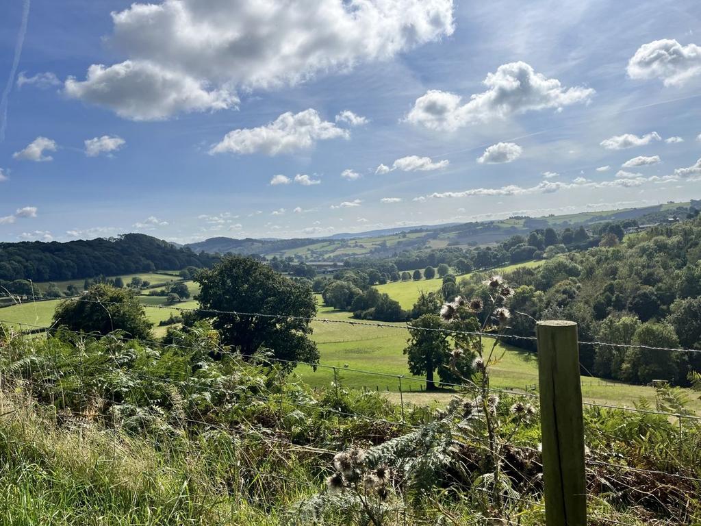 Scenery from Lane