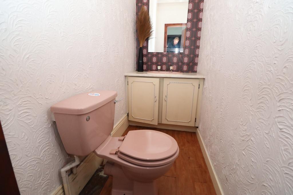 Img 7350