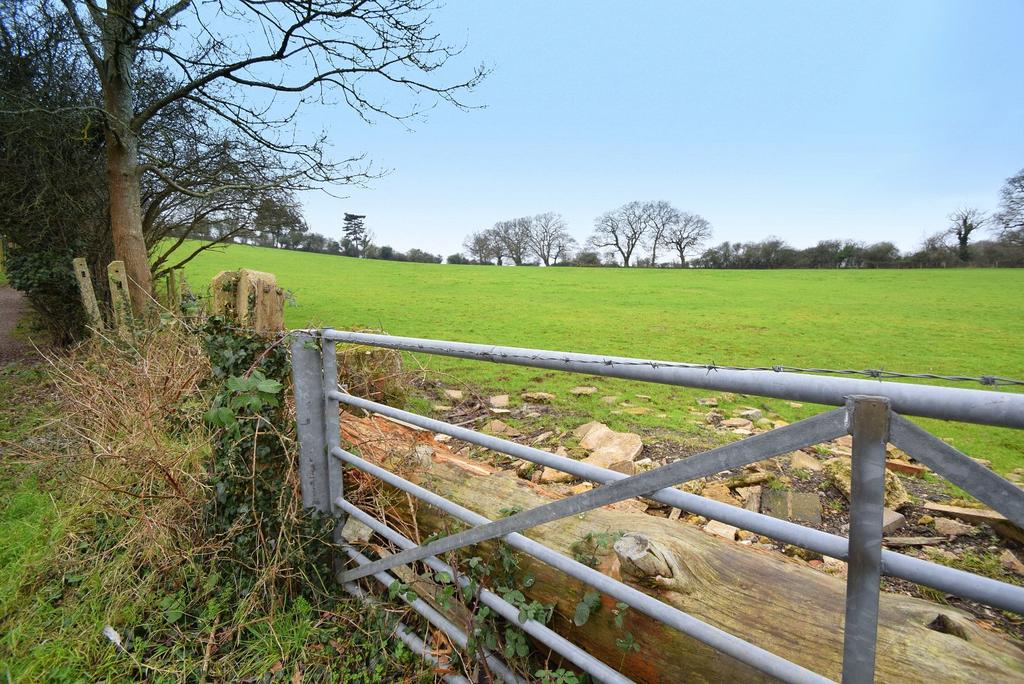 Open Fields