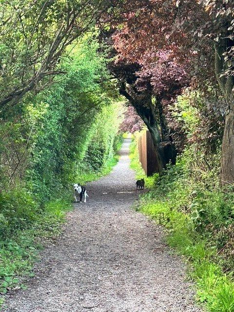 Cul-De-Sac Path
