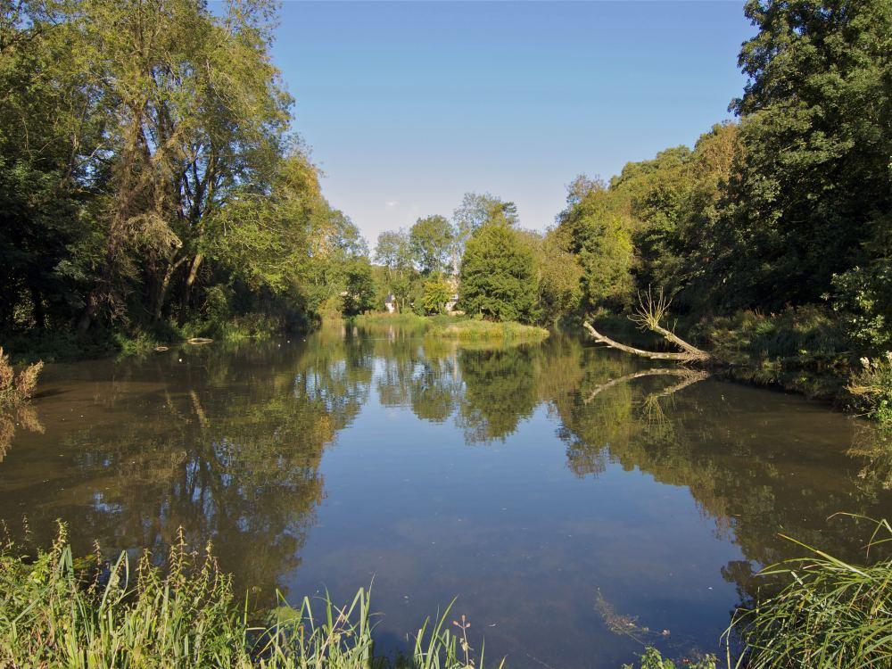Photograph 4