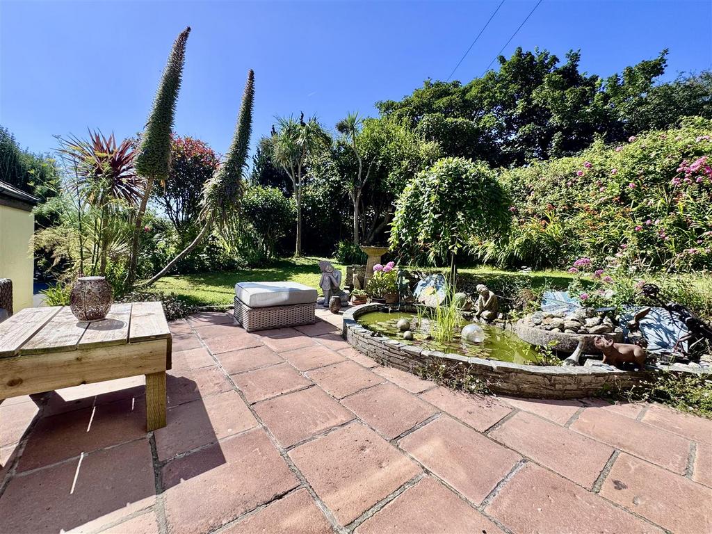 Patio & Pond