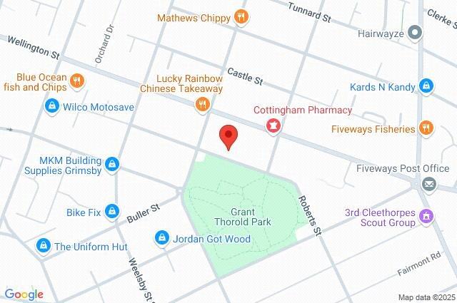 Google Maps Image