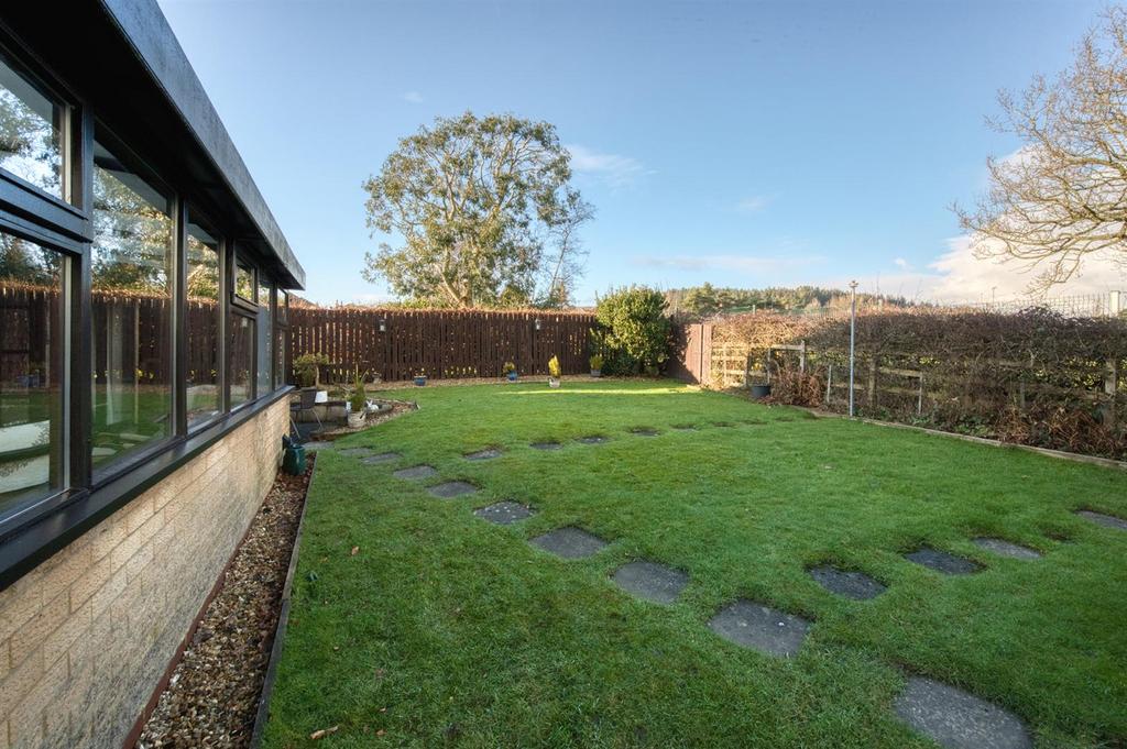 Rear Garden - lawn.jpg