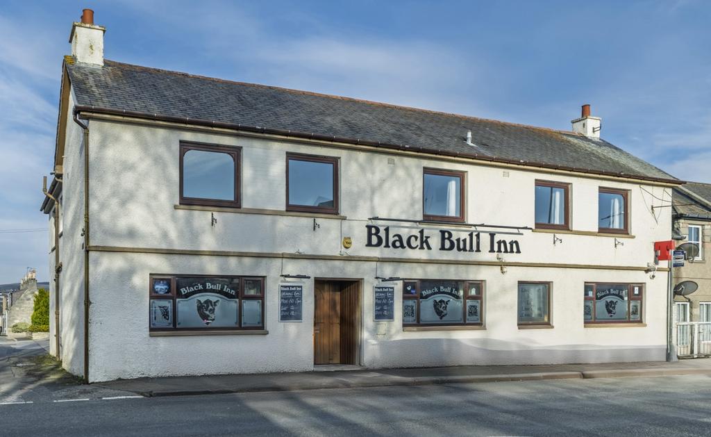 Black Bull 230-HDRv2