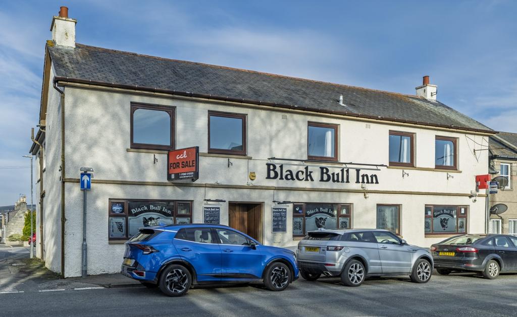 Black Bull 230-HDR
