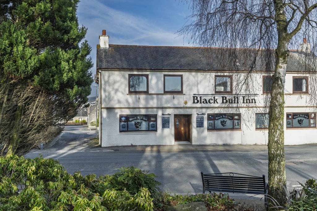 Black Bull 242-HDRv2