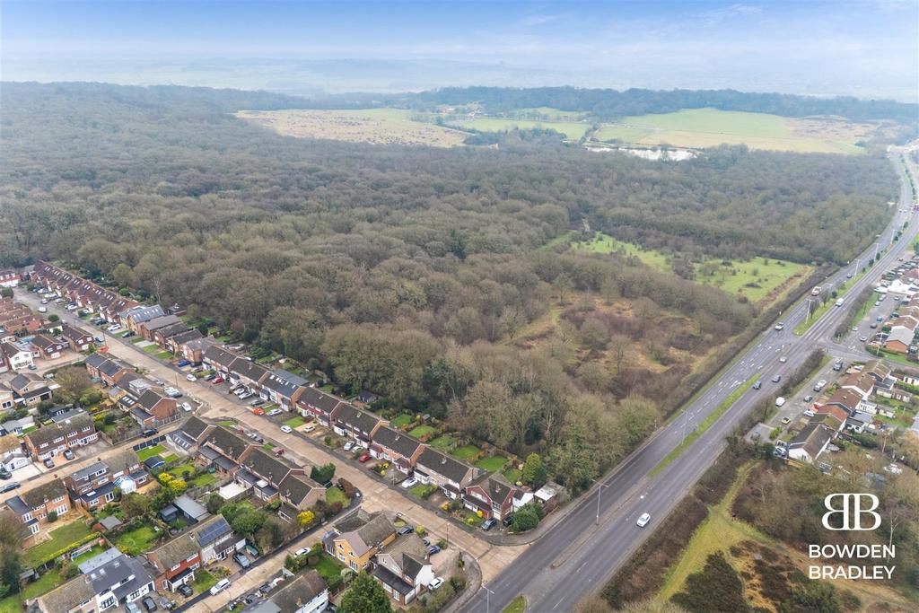 DJI 20250203103528 0009 D.jpg