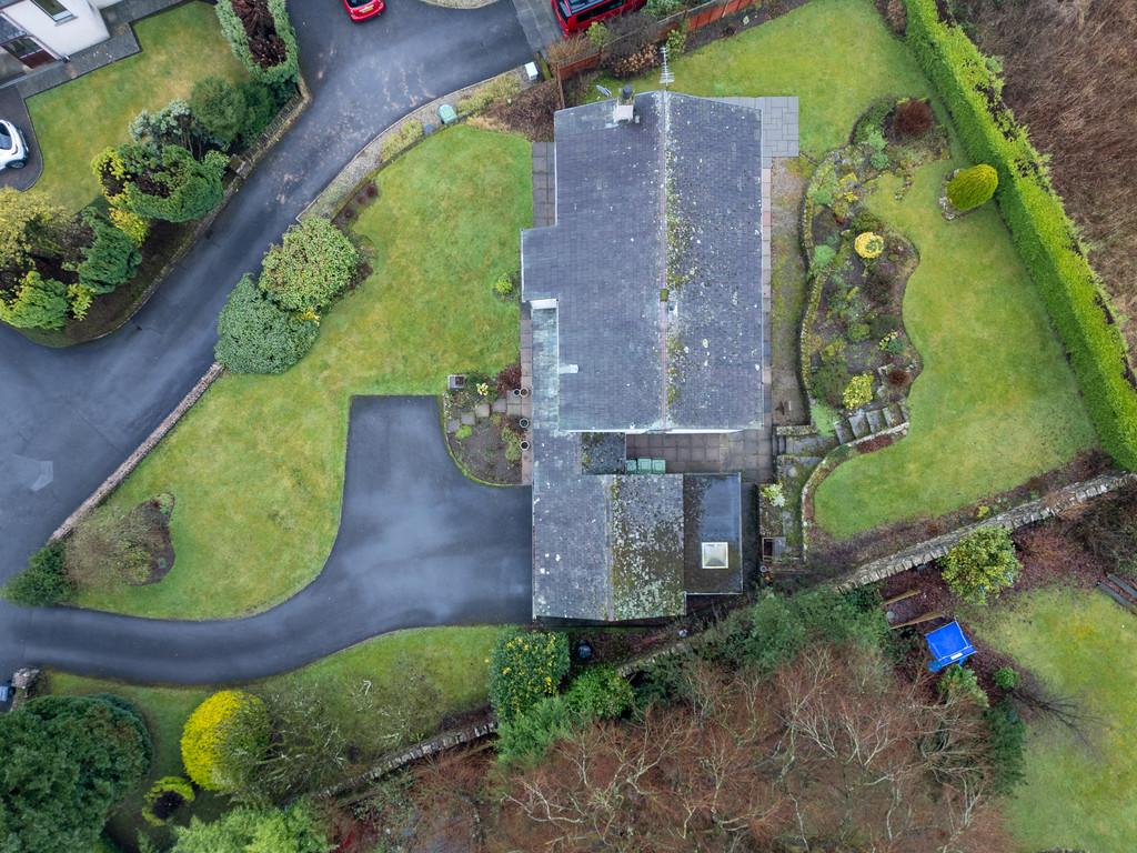Elevated plot view