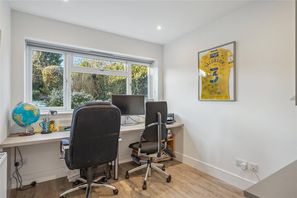 Study