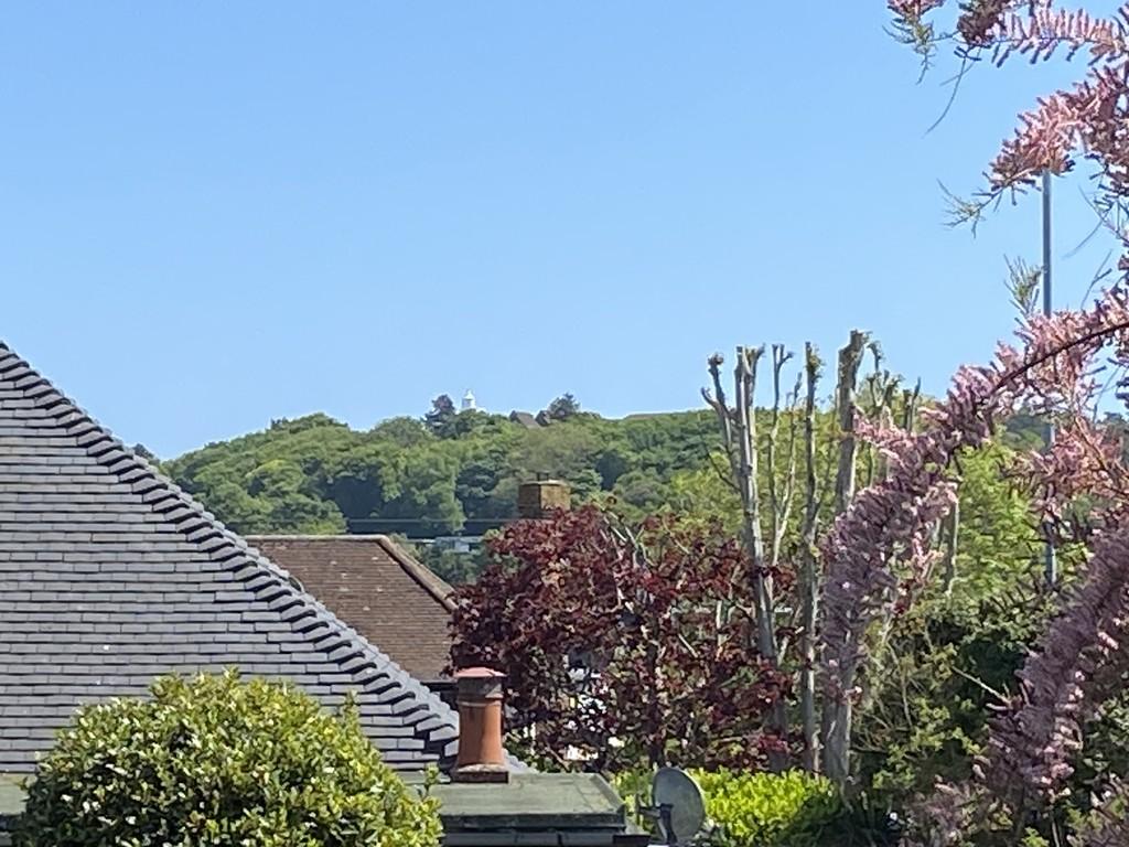Distant view