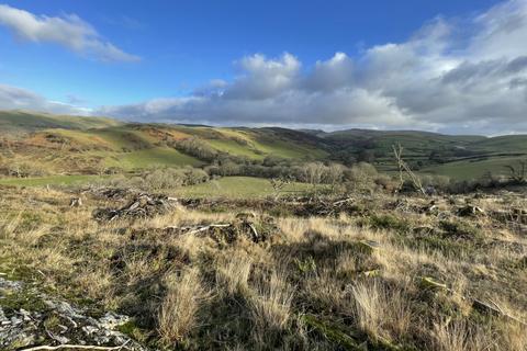 Woodland for sale, Bontgoch, Talybont SY24