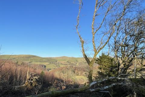 Woodland for sale, Bontgoch, Talybont SY24