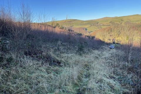 Woodland for sale, Bontgoch, Talybont SY24