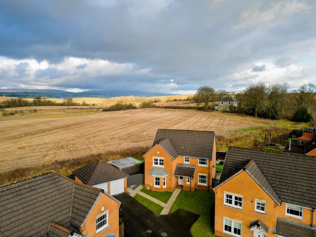 Farmland views