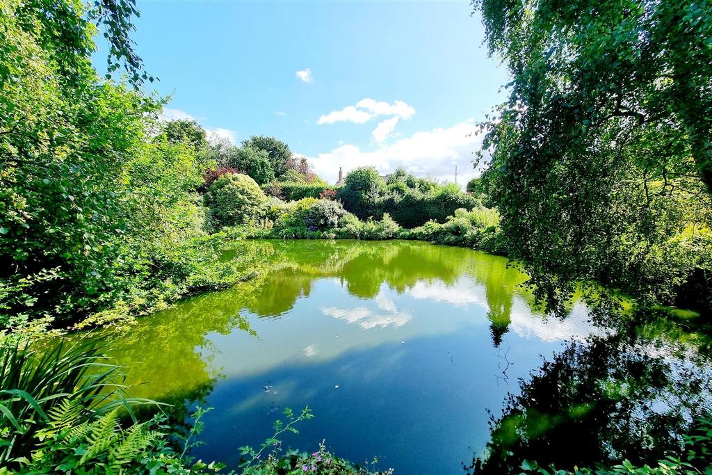 PICTURESQUE POND AREA & OUTLOOK: