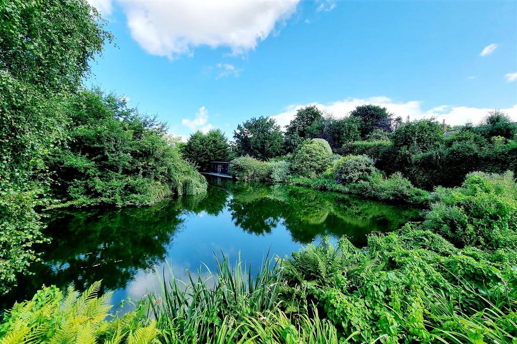 Different aspects of the pond: pic. 1