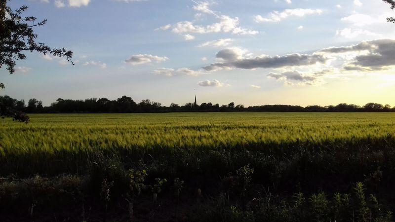 Nearby views