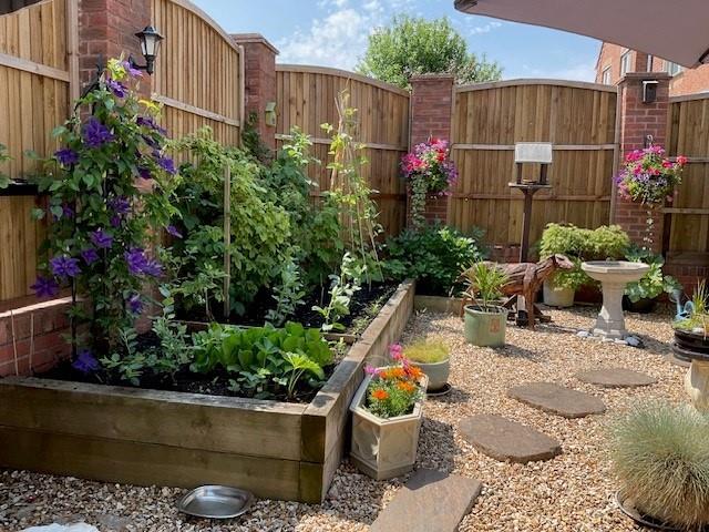Garden in summer