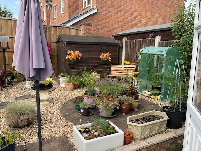Garden in summer