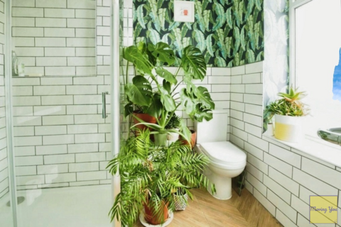 undefined, Wentloog Road, Rumney, Cardiff