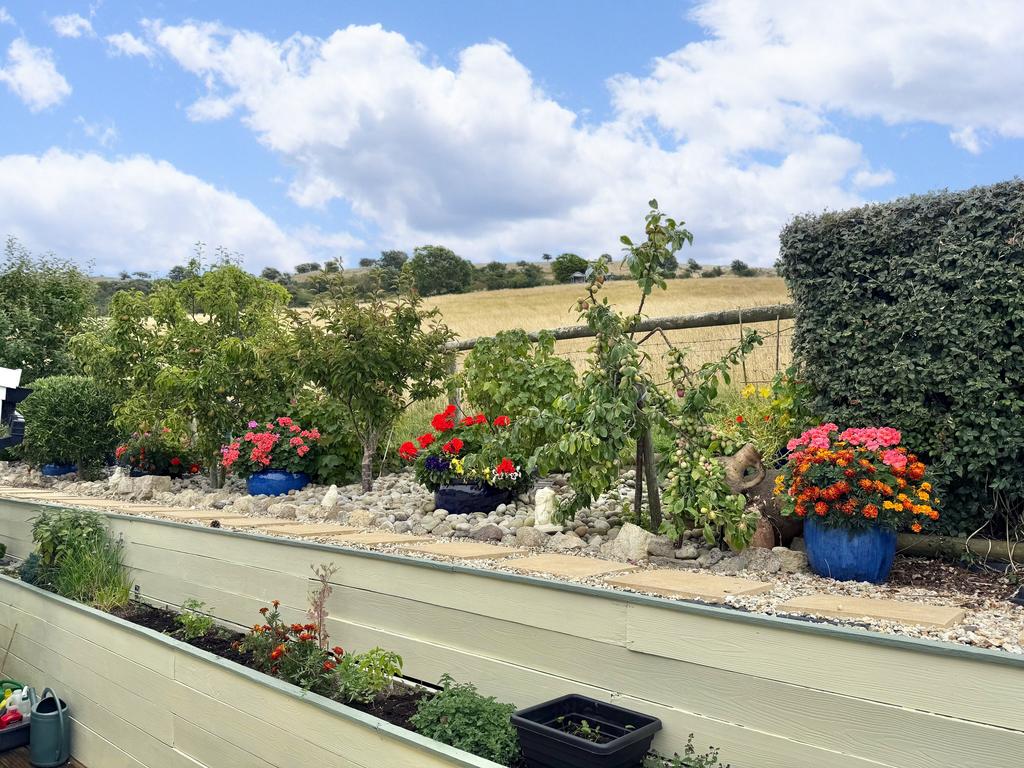 Garden 4 .jpeg
