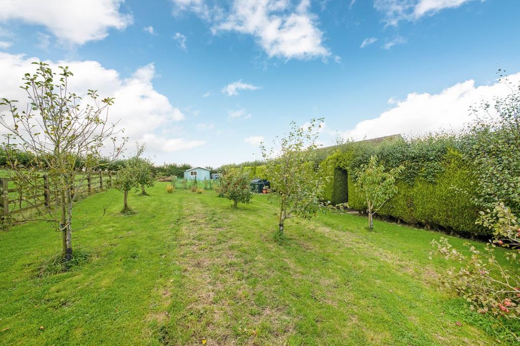 Orchard