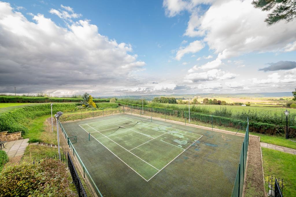 Tennis court