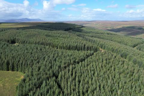 Woodland for sale, Brora  IV27