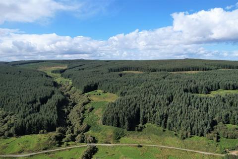 Woodland for sale, Brora  IV27