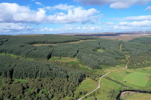 Woodland for sale, Brora  IV27