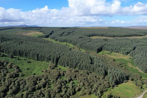 Woodland for sale, Brora  IV27