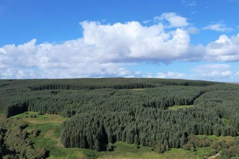 Woodland for sale, Brora  IV27