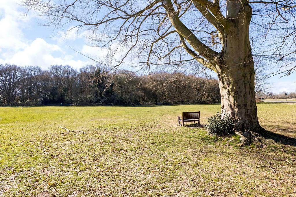 The Common