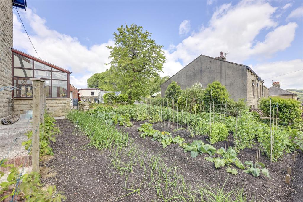 Side Garden