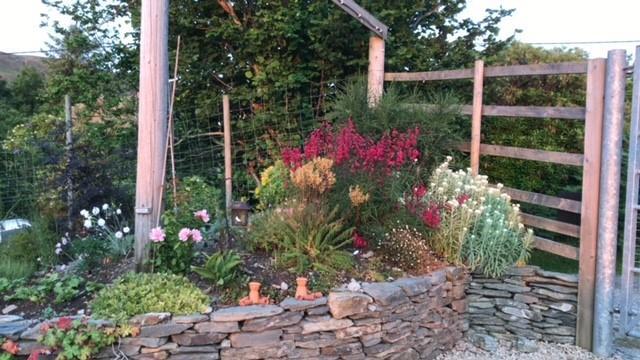 Summer garden photograph