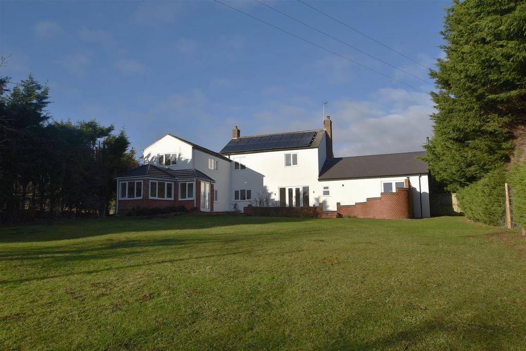 Rear Aspect