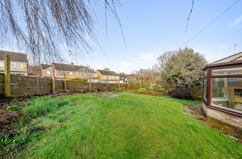 1252699 (3).jpg