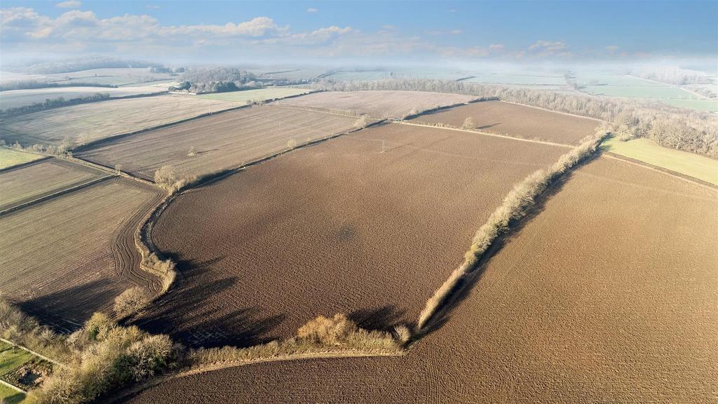 DJI 20250115140542 0005 Ddefault.jpeg