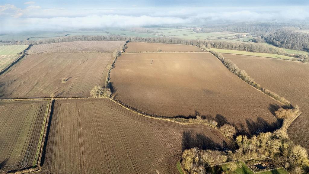 DJI 20250115140621 0006 Ddefault.jpeg