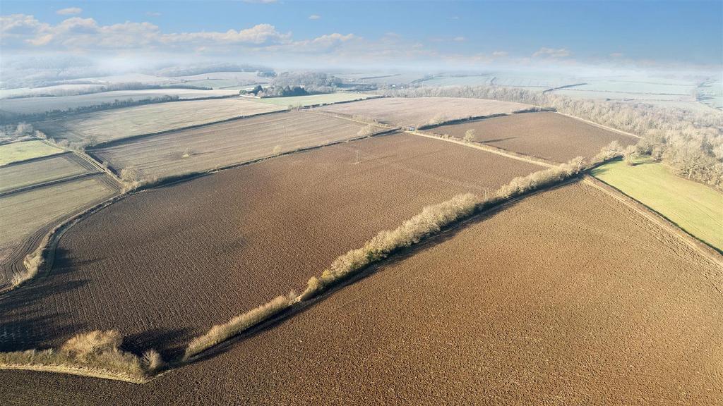 DJI 20250115140523 0004 Ddefault.jpeg