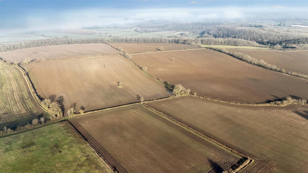 DJI 20250115140655 0007 Ddefault.jpeg